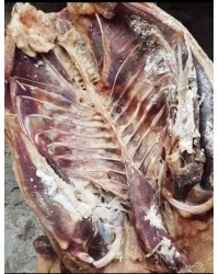 Kars Kazı (2.5-2.7 kg)&hellip;